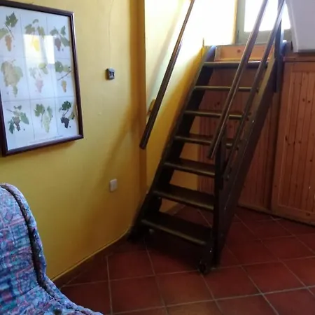Apartment Rosa